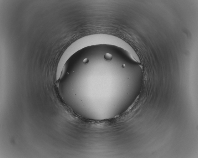 X0000111000235200907101459