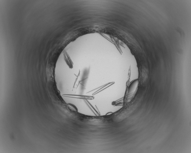 X0000111000236200907101459