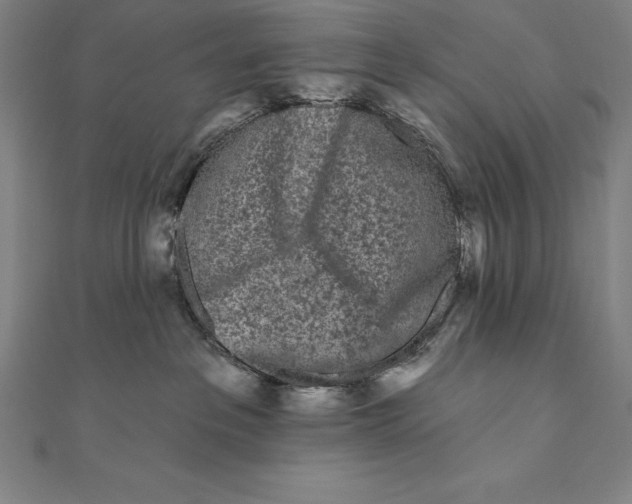 X0000111000237200907101459