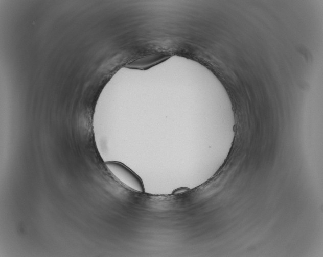 X0000111000240200907101458