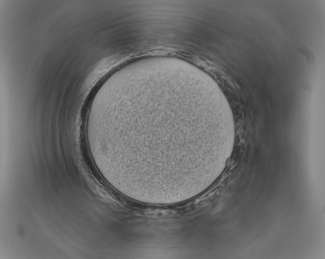 X0000111000242200907101458