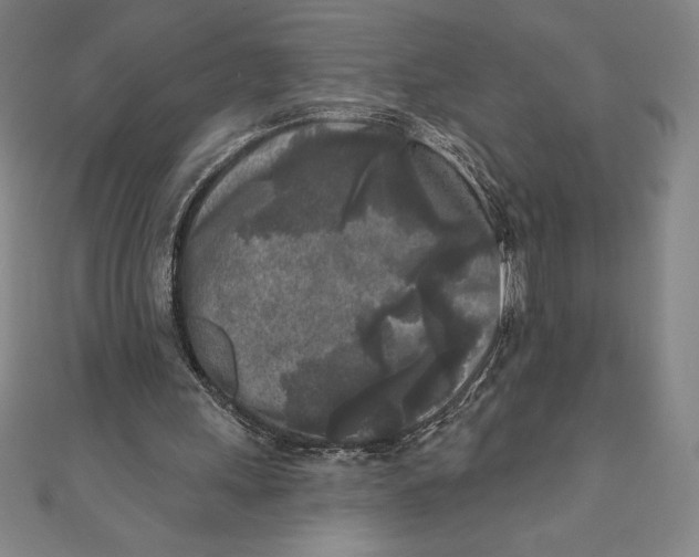 X0000111000243200907101458