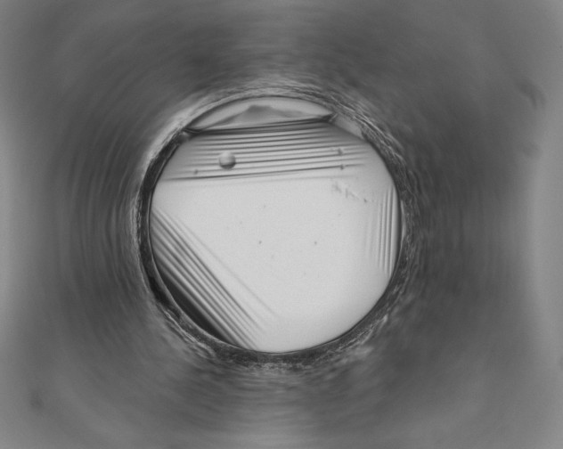 X0000111000244200907101458