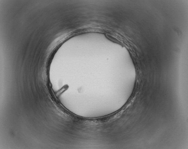 X0000111000245200907101458