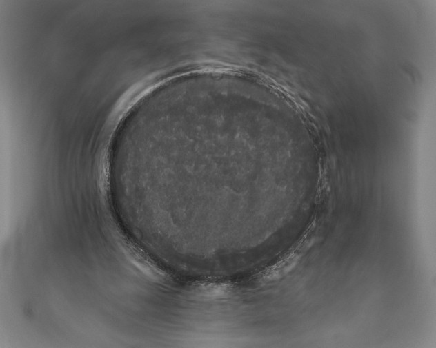 X0000111000247200907101458