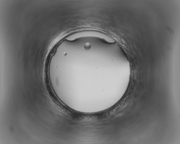 X0000111000248200907101458