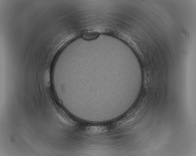 X0000111000251200907101458