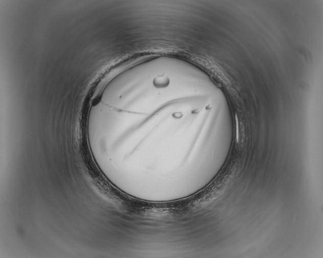 X0000111000252200907101458