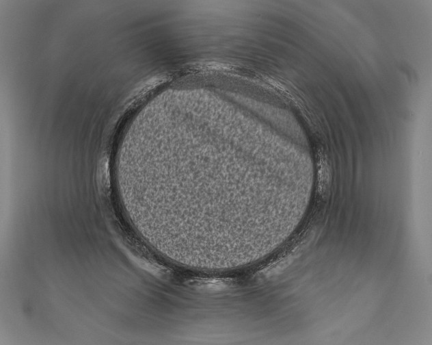 X0000111000254200907101458