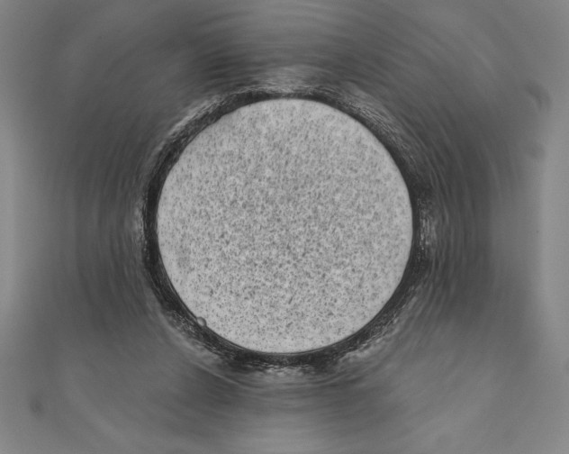 X0000111000256200907101458