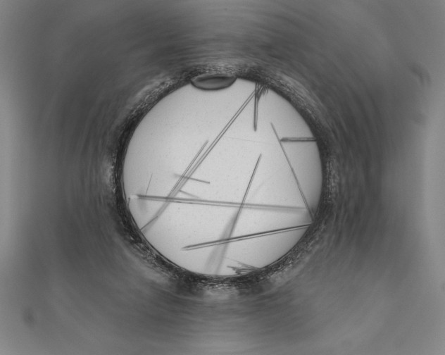 X0000111000258200907101458