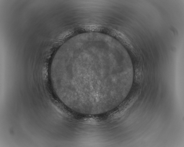 X0000111000259200907101458