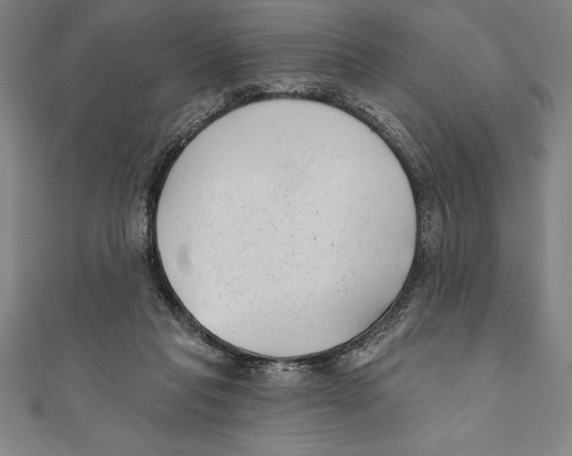 X0000111000261200907101458