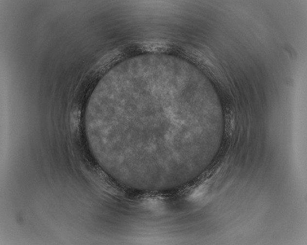 X0000111000263200907101458