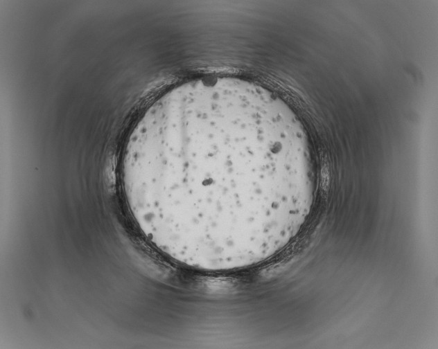 X0000111000264200907101458