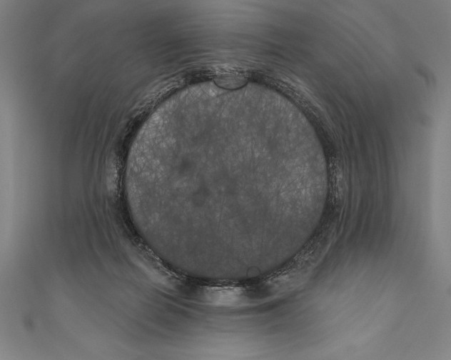 X0000111000266200907101458