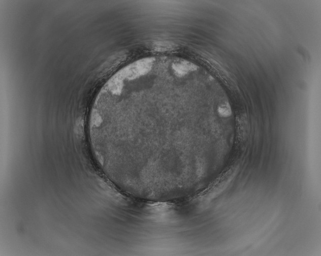 X0000111000269200907101458