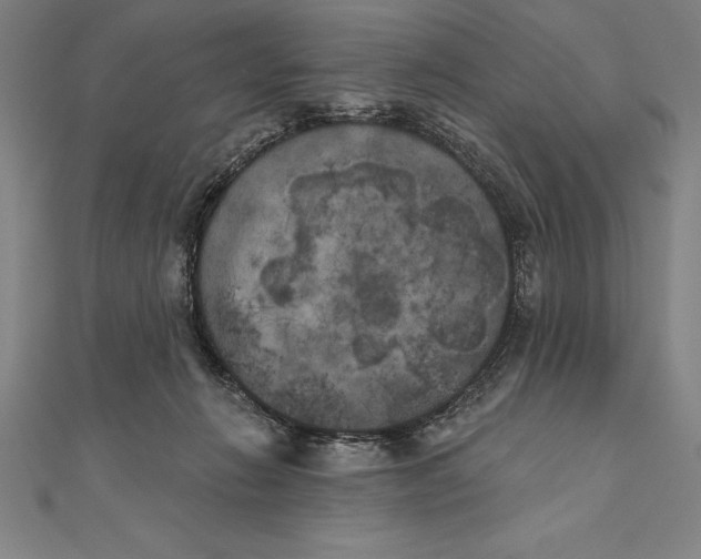 X0000111000270200907101458