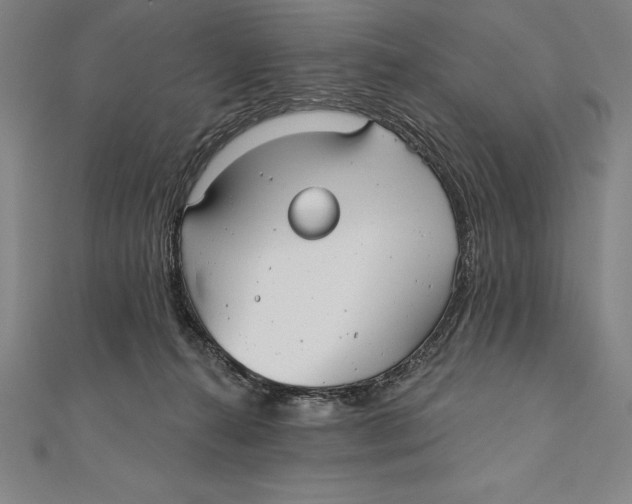 X0000111000272200907101458