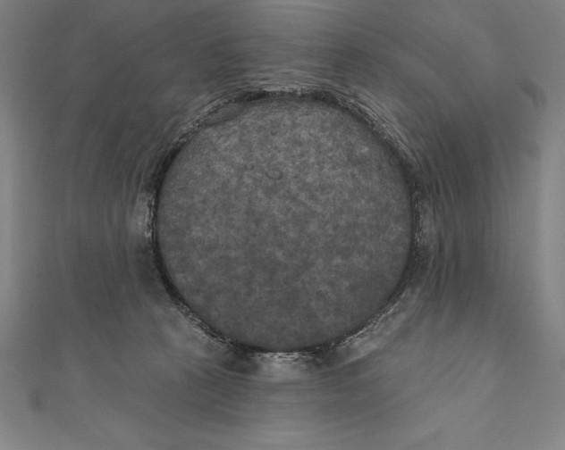 X0000111000273200907101458