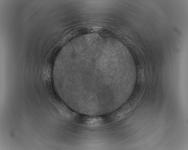 X0000111000274200907101458