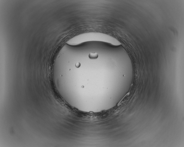 X0000111000276200907101458