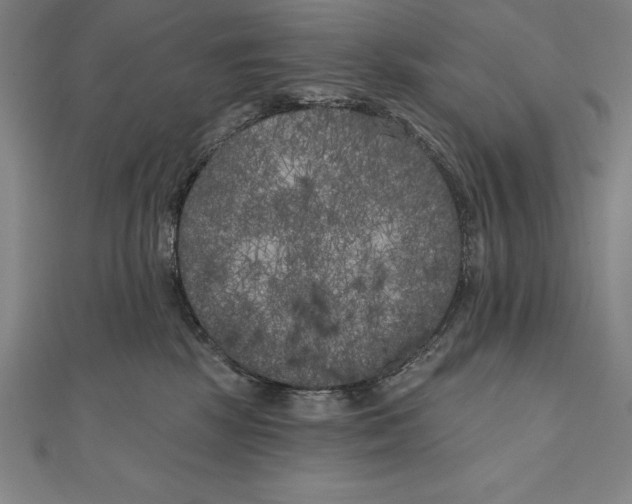 X0000111000281200907101458