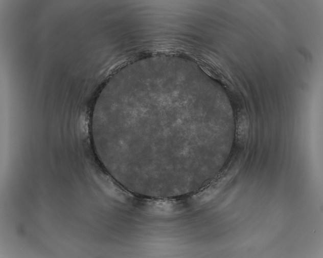 X0000111000282200907101458