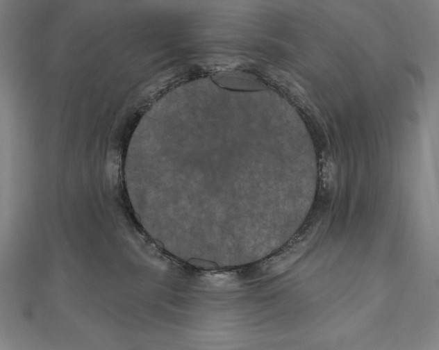 X0000111000283200907101458