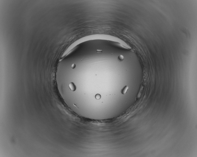 X0000111000284200907101458