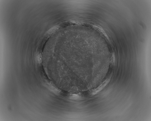 X0000111000285200907101458