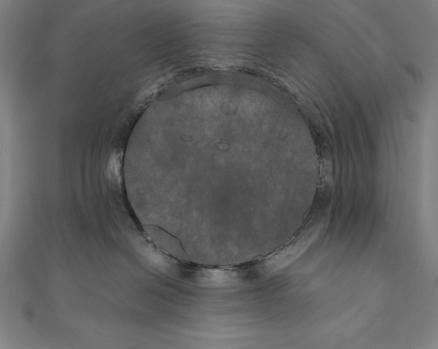 X0000111000286200907101458