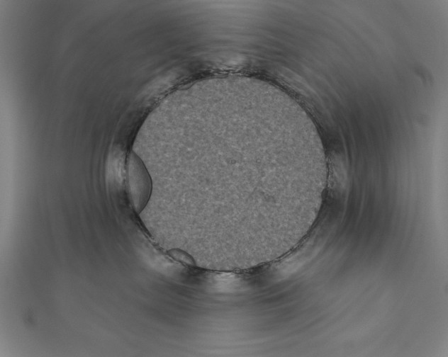 X0000111000287200907101458