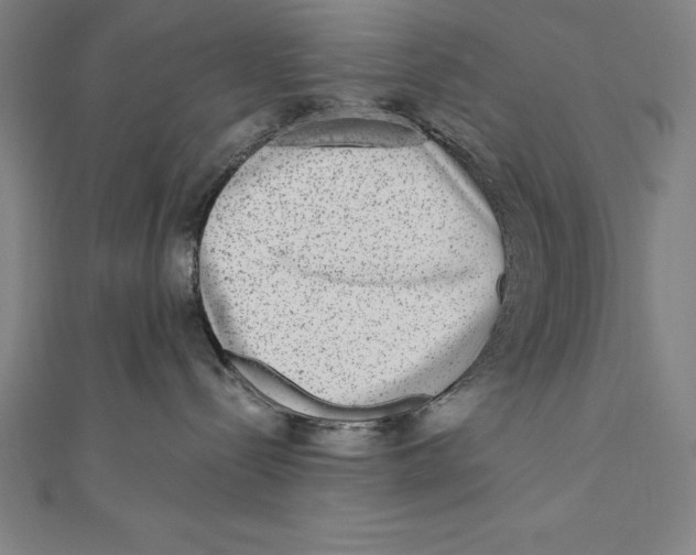 X0000111000288200907101458