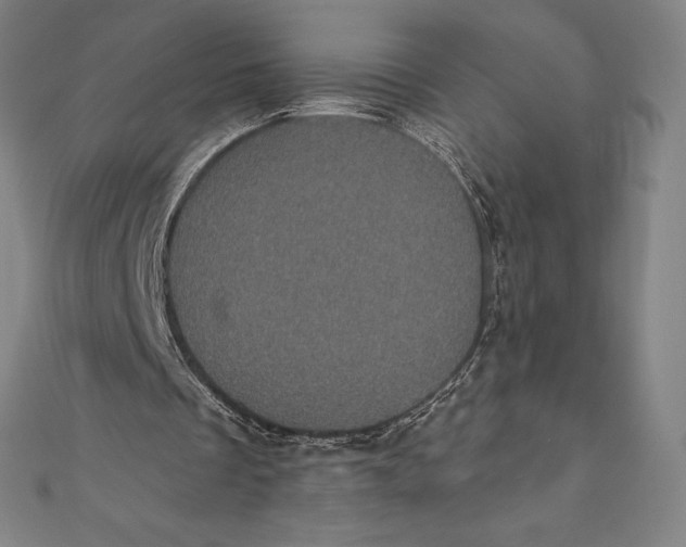 X0000111000289200907101458