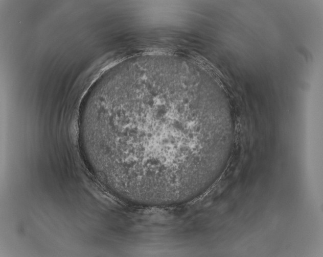 X0000111000290200907101458