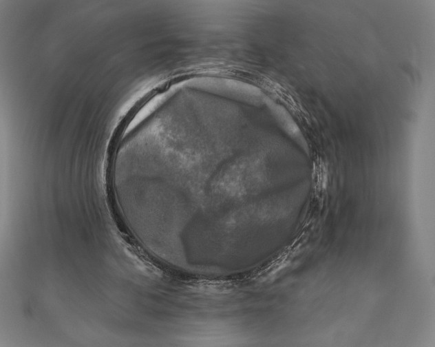 X0000111000292200907101458