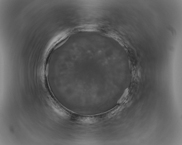 X0000111000293200907101458