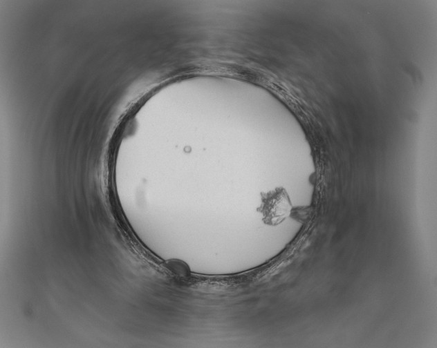 X0000111000294200907101458