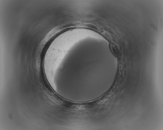 X0000111000295200907101458