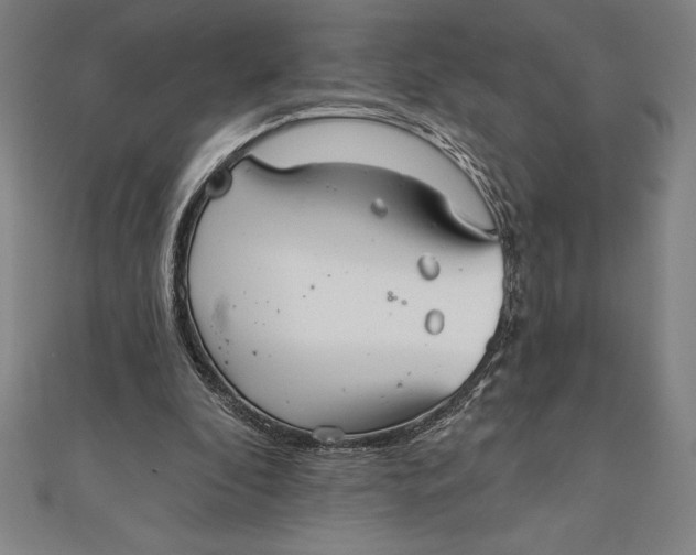 X0000111000296200907101458