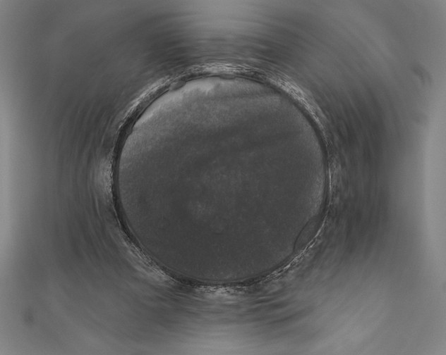 X0000111000297200907101458