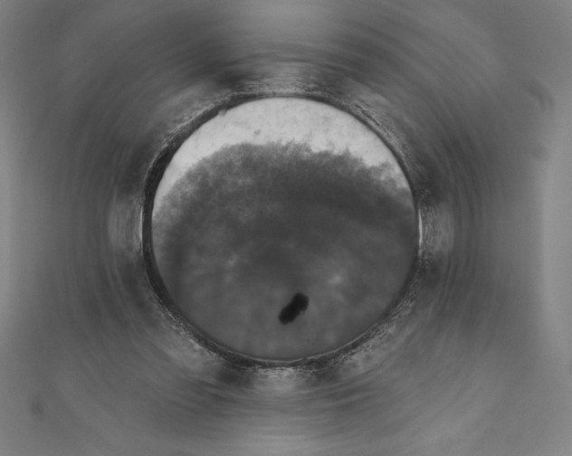 X0000111000301200907101458