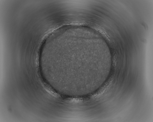 X0000111000303200907101458