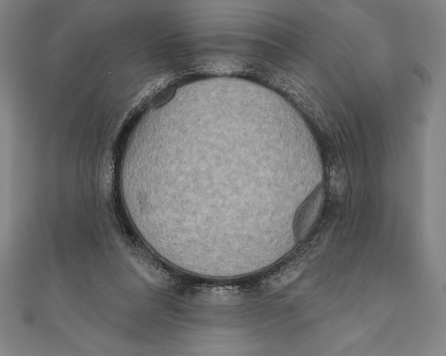 X0000111000304200907101458