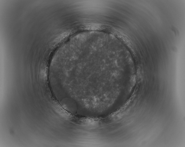 X0000111000305200907101458