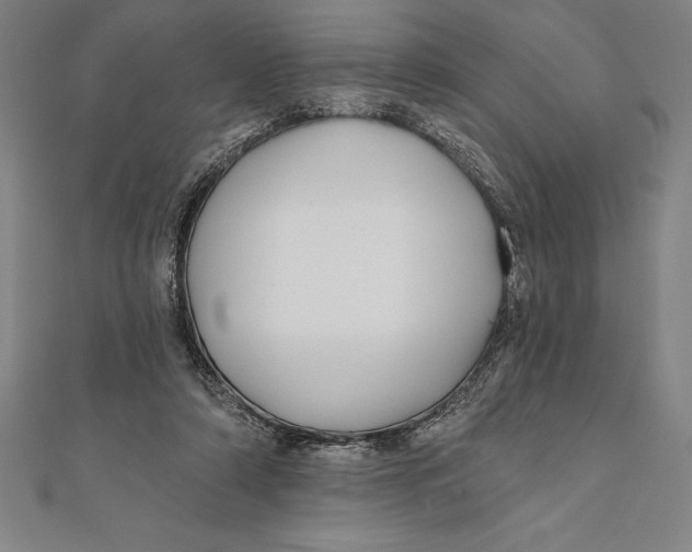 X0000111000306200907101458