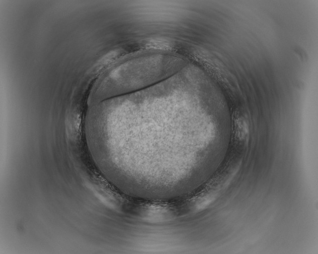 X0000111000308200907101458