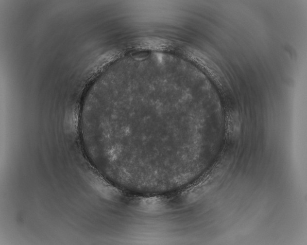 X0000111000309200907101458