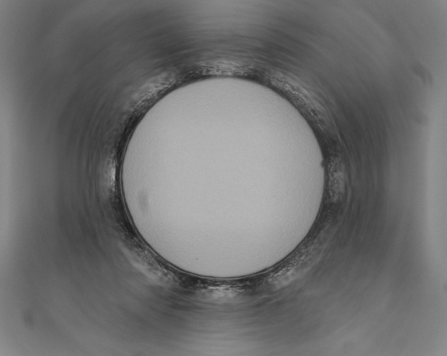 X0000111000310200907101458